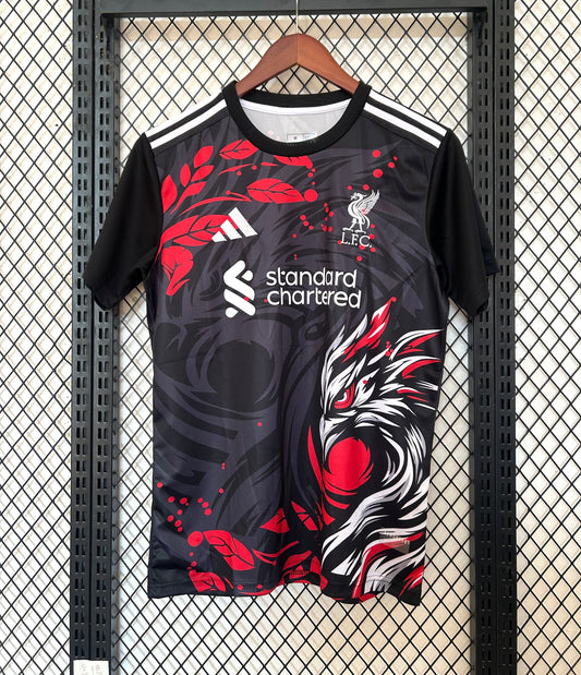 Maillot Liverpool Concept 2024/2025