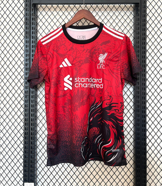 Maillot Liverpool Concept 2024/2025