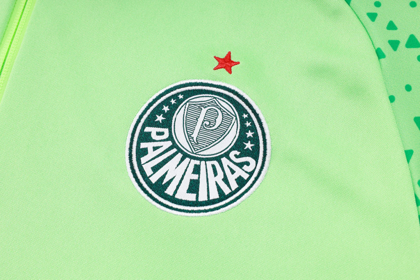 Survêtement Palmeiras 24/25